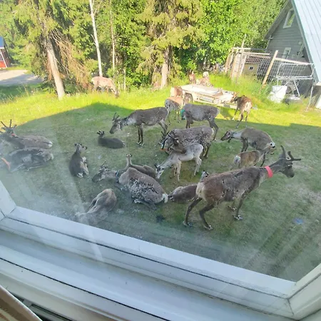 Auberge de jeunesse Rukatupa