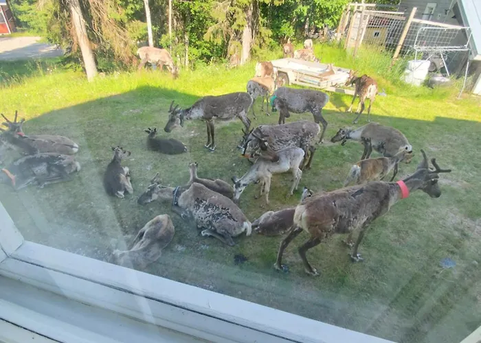 Хостел Rukatupa